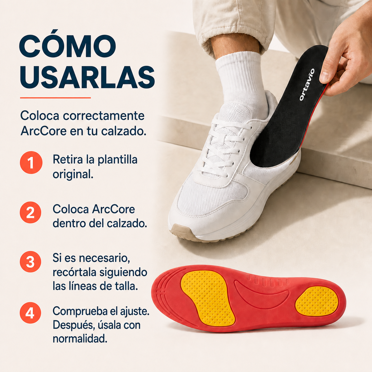 Cómo usar las plantillas Ortavio ArcCore