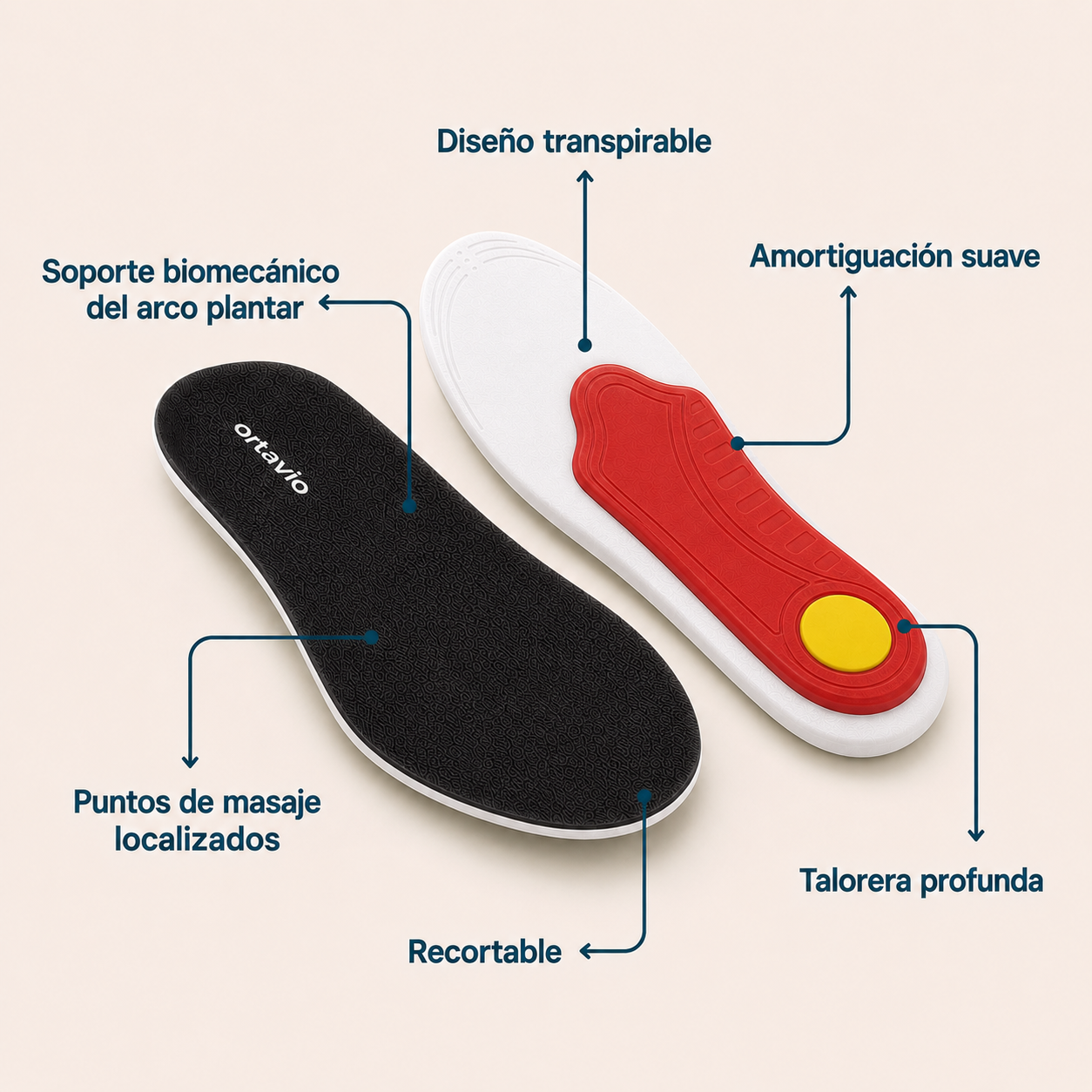 Características de las plantillas Ortavio ArcCore